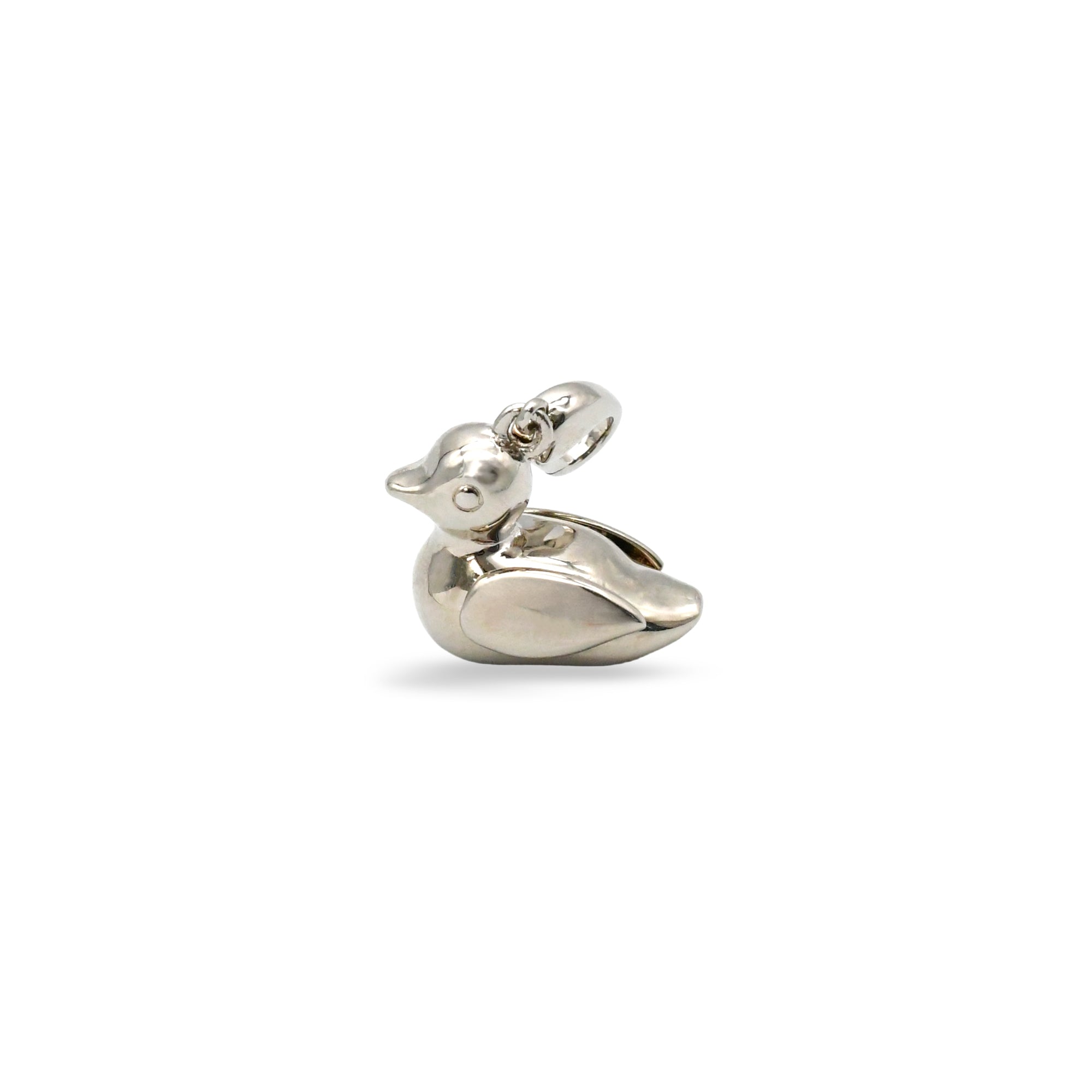 TOMOYUKI IWANAMI Charm DUCK