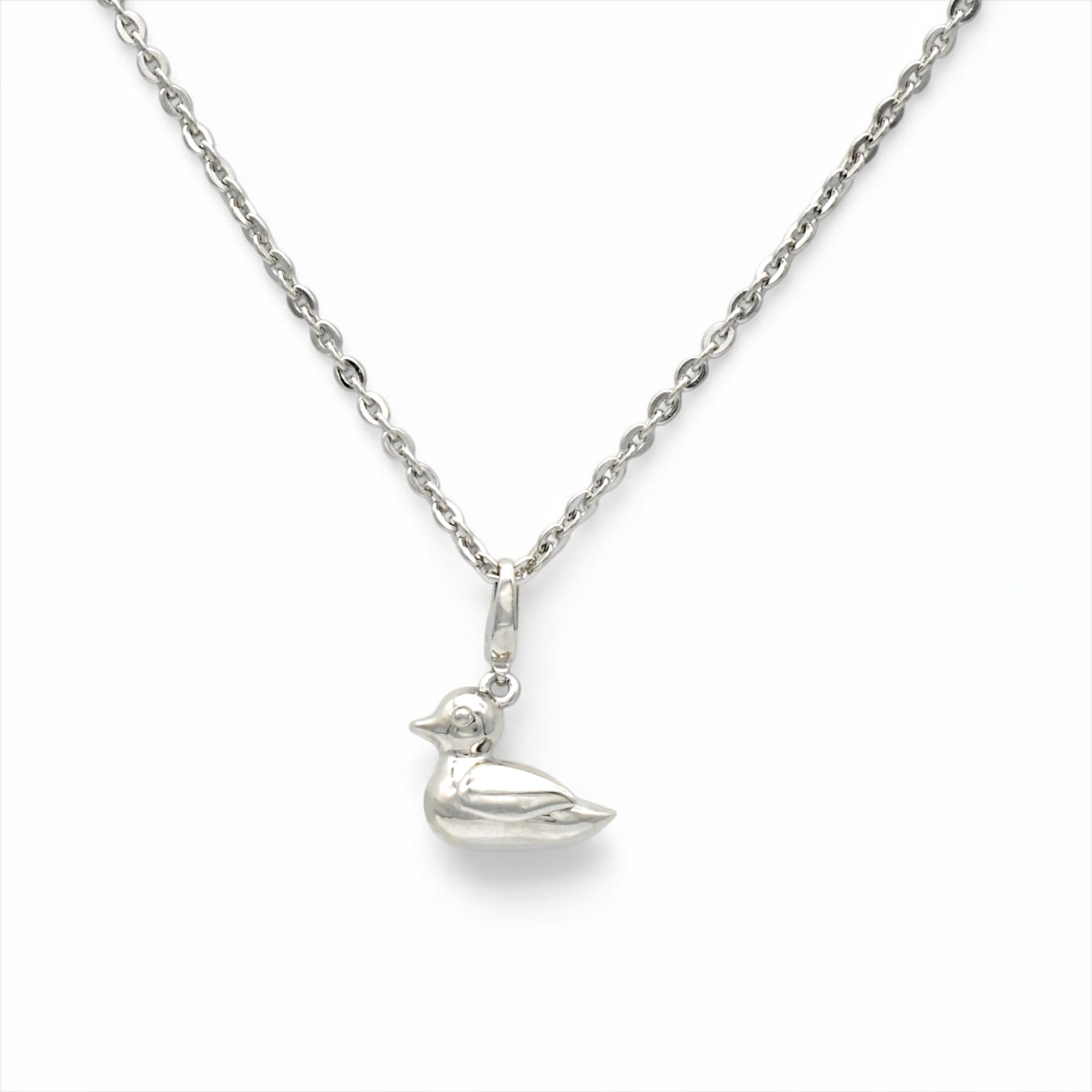 TOMOYUKI IWANAMI Charm DUCK